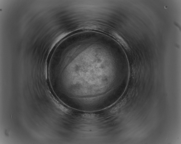 X0000093241036200710031558