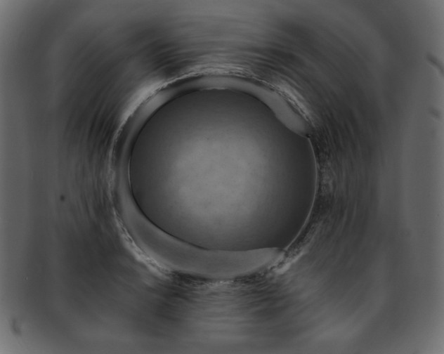 X0000093241038200710031558