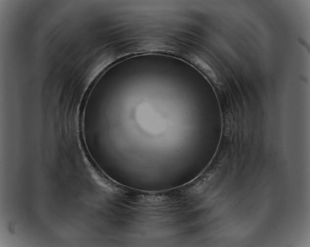 X0000093241039200710031558