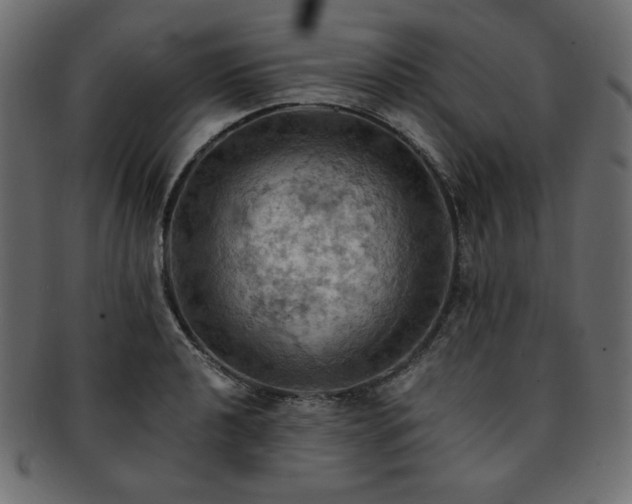 X0000093241040200710031558
