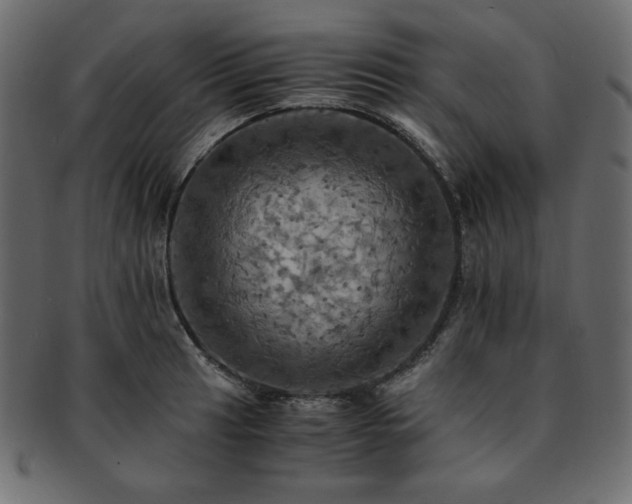 X0000093241041200710031558