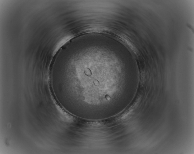 X0000093241042200710031558