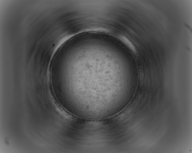 X0000093241044200710031558