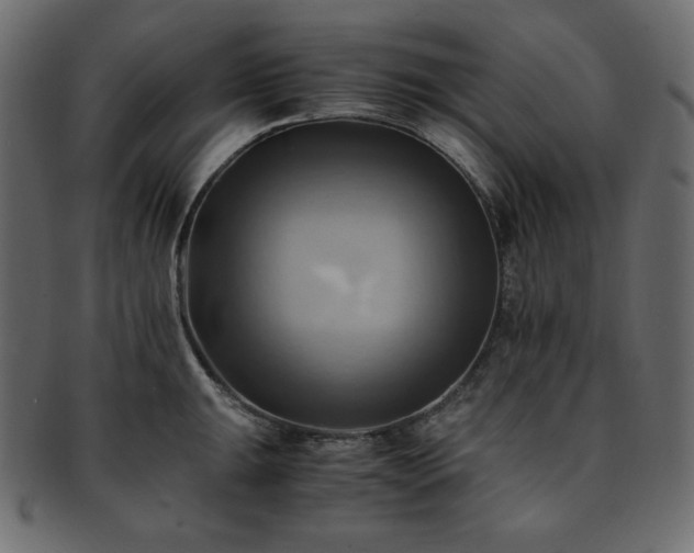 X0000093241047200710031558