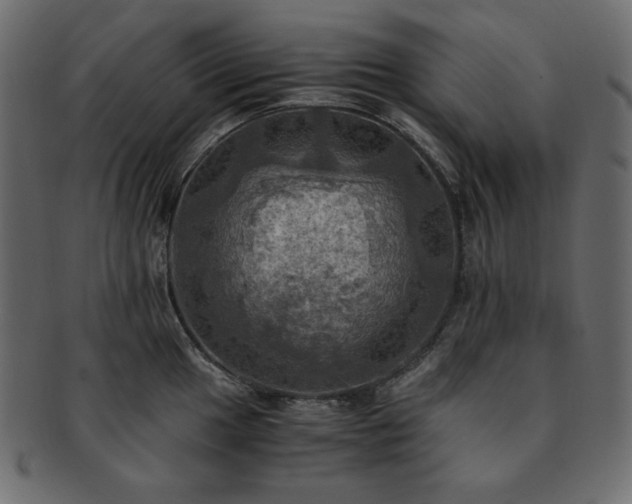 X0000093241049200710031558