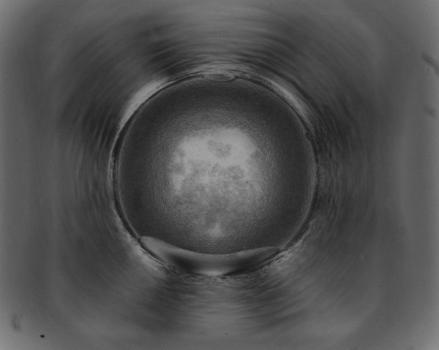 X0000093241050200710031558