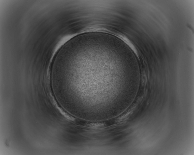X0000093241053200710031558