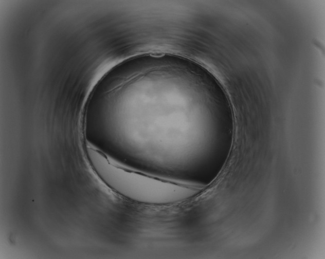 X0000093241056200710031558