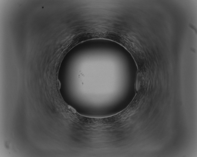 X0000093241057200710031558