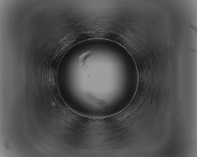 X0000093241058200710031558