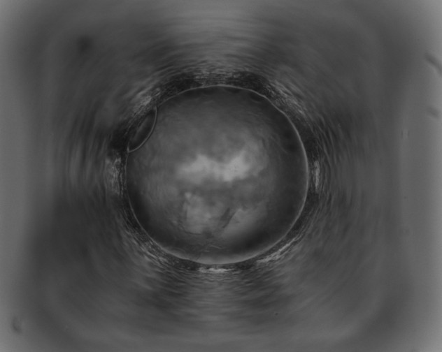 X0000093241059200710031558