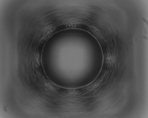 X0000093241060200710031558