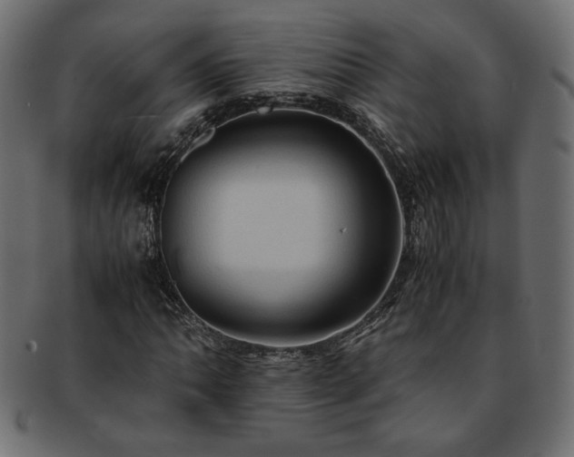 X0000093241062200710031558