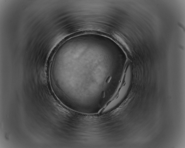 X0000093241068200710031558