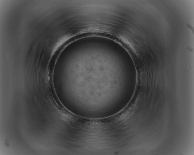 X0000093241070200710031557