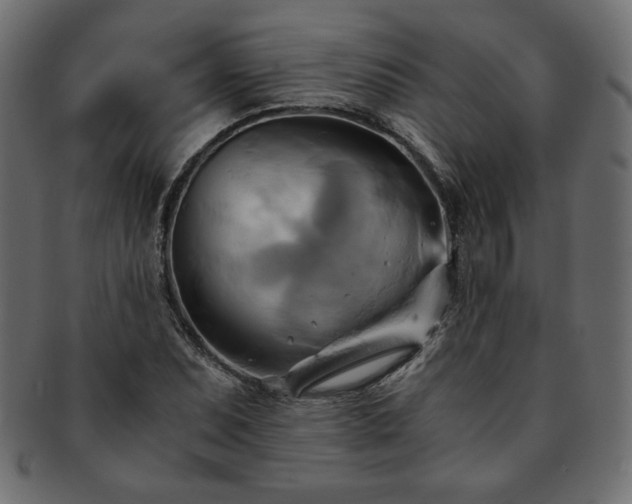 X0000093241071200710031557