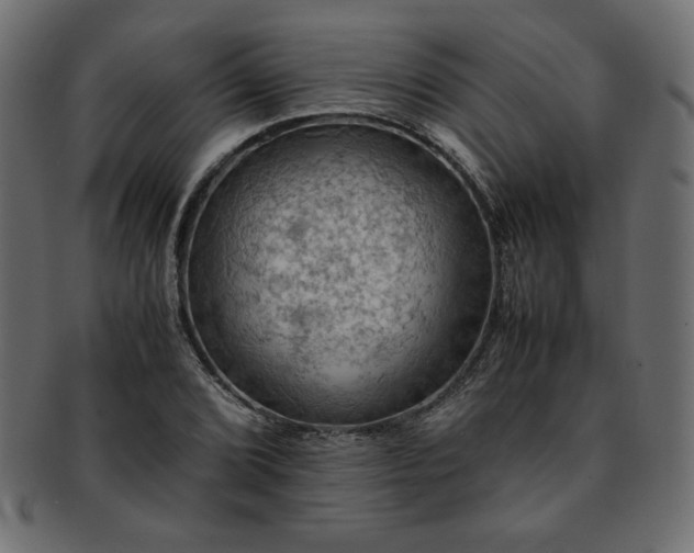 X0000093241072200710031557