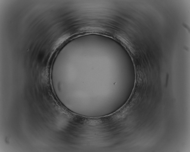 X0000093241074200710031557