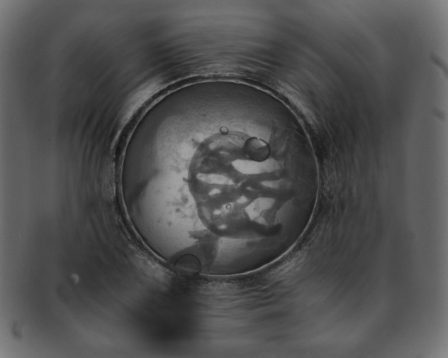 X0000093241075200710031557