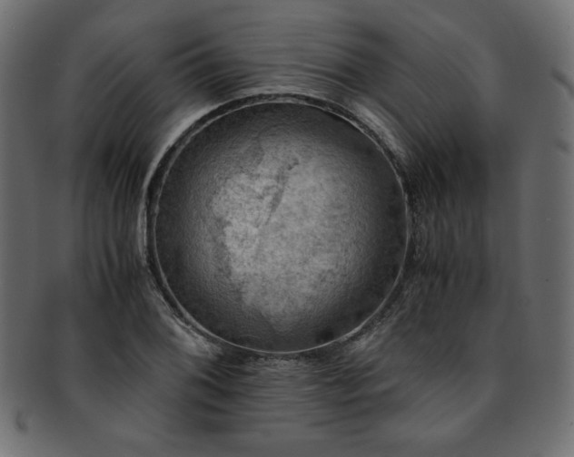 X0000093241076200710031557