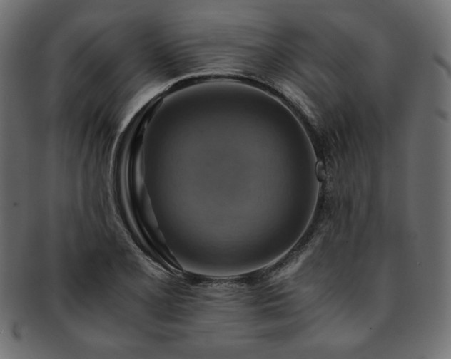 X0000093241077200710031557