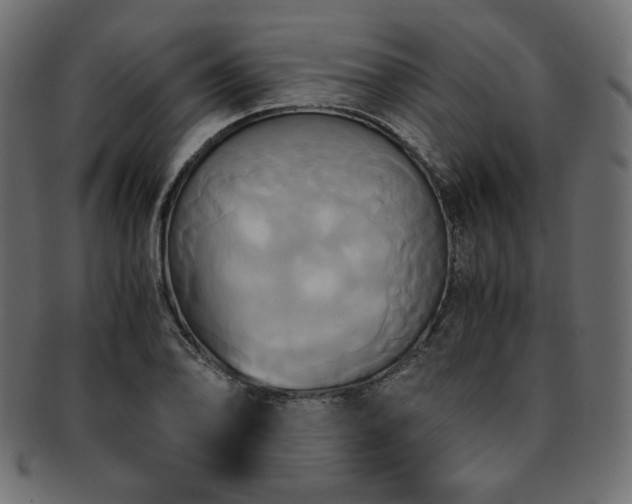 X0000093241078200710031557