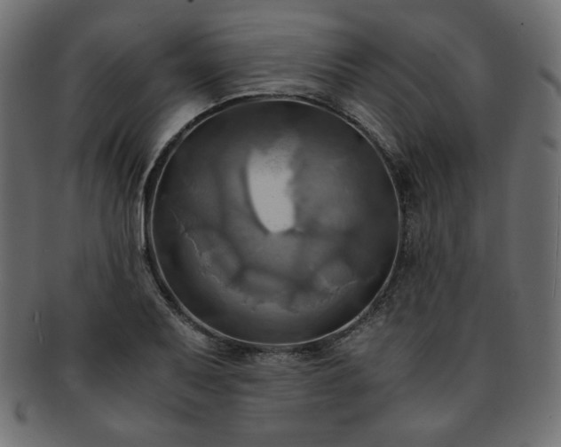X0000093241079200710031557