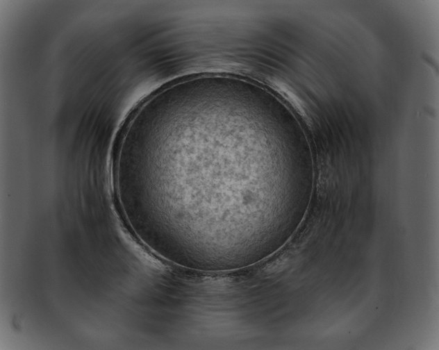 X0000093241080200710031557