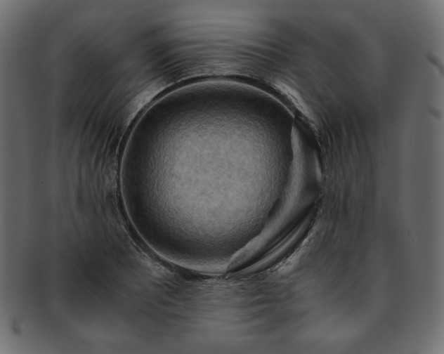 X0000093241081200710031557