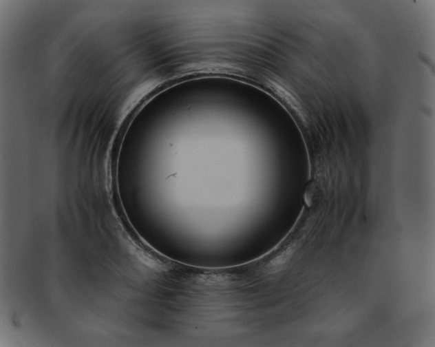 X0000093241082200710031557