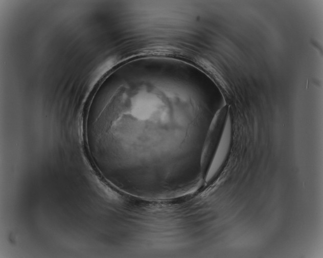 X0000093241083200710031557