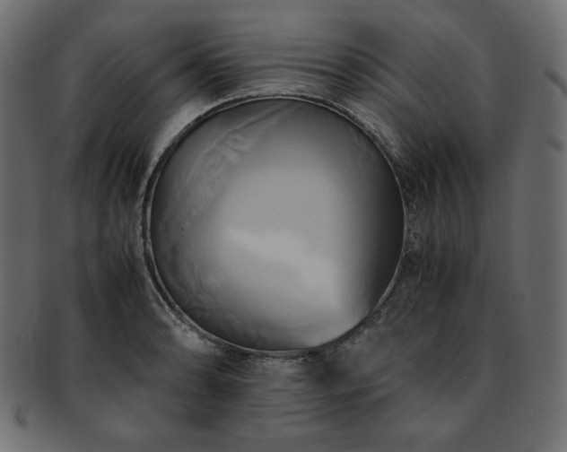 X0000093241086200710031557