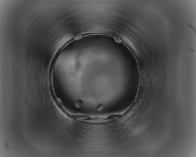 X0000093241087200710031557