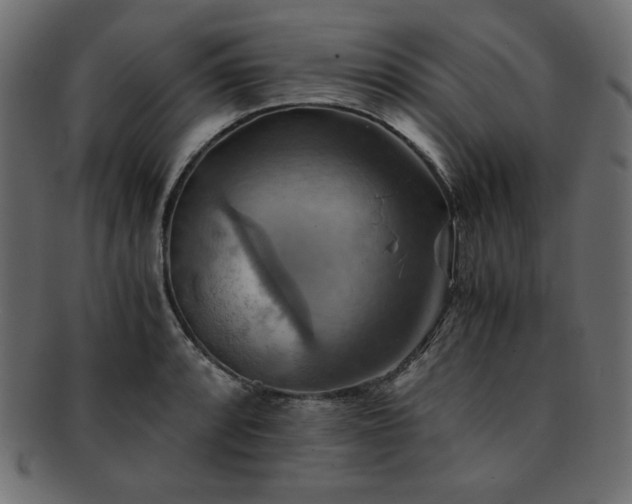 X0000093241088200710031557