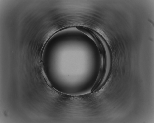X0000093241089200710031557