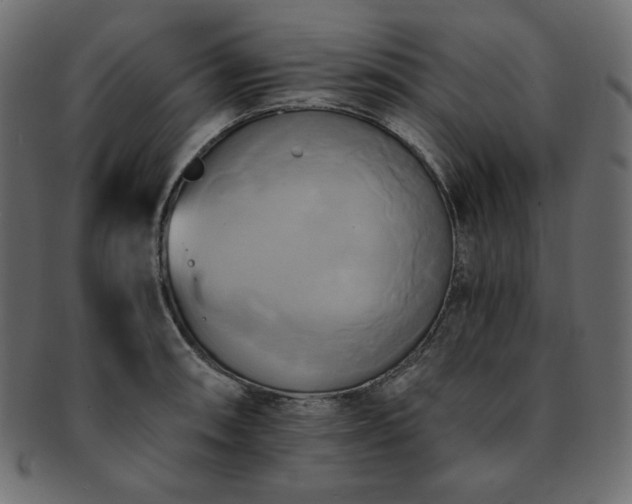 X0000093241090200710031557