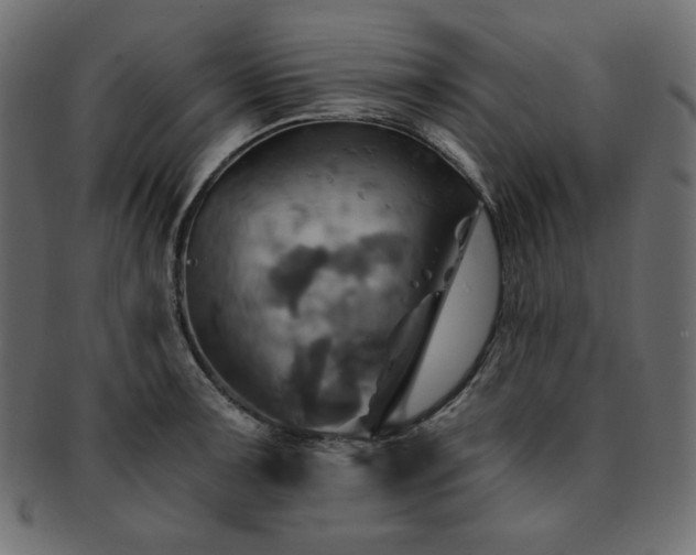 X0000093241091200710031557