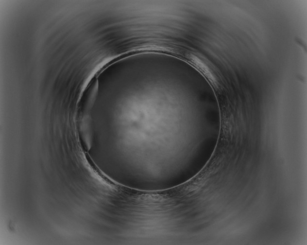 X0000093241092200710031557