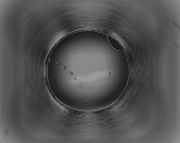 X0000093241095200710031557