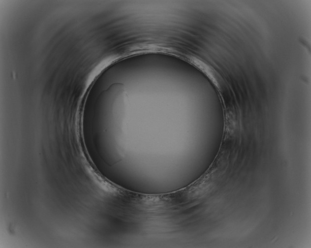 X0000093241098200710031557