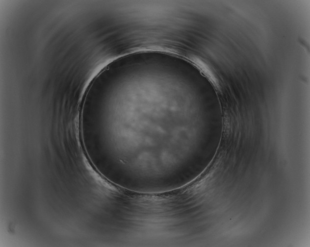 X0000093241100200710031557