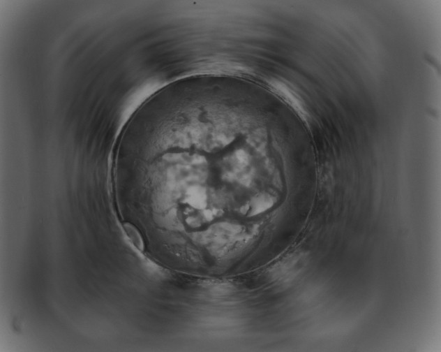 X0000093241103200710031557