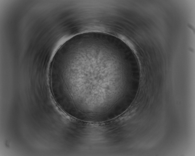 X0000093241104200710031557
