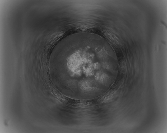 X0000093241105200710031557