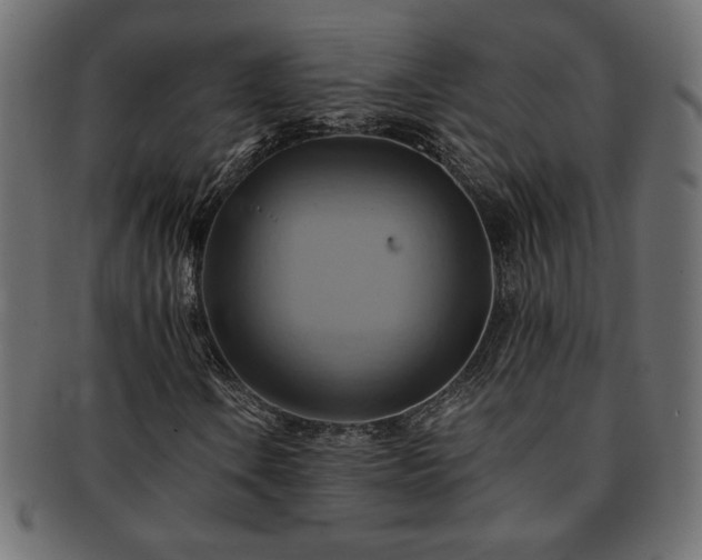 X0000093241106200710031557