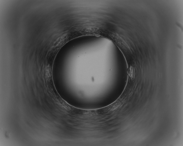 X0000093241107200710031557
