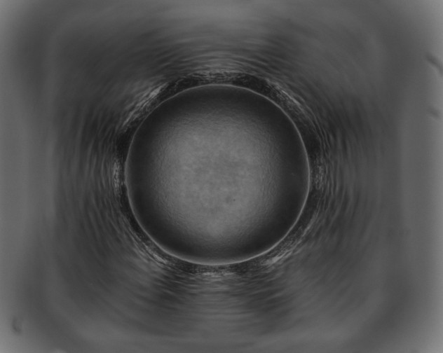 X0000093241108200710031557