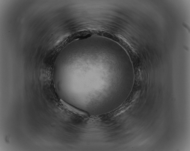 X0000093241110200710031557