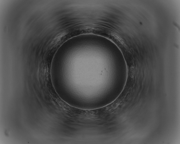 X0000093241111200710031557