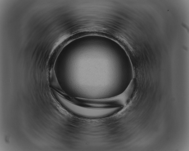 X0000093241114200710031557